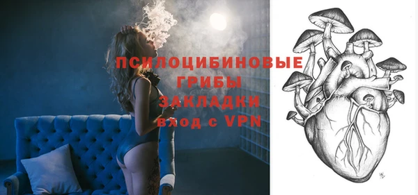 ПСИЛОЦИБИНОВЫЕ ГРИБЫ Нефтекумск