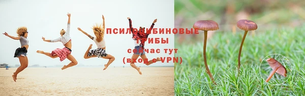 шишки Нея