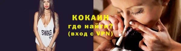 шишки Нея