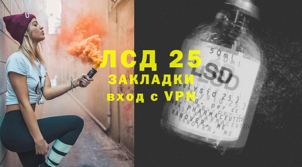 шишки Нея