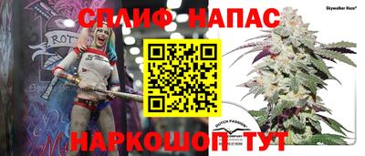 сатива Гагарин
