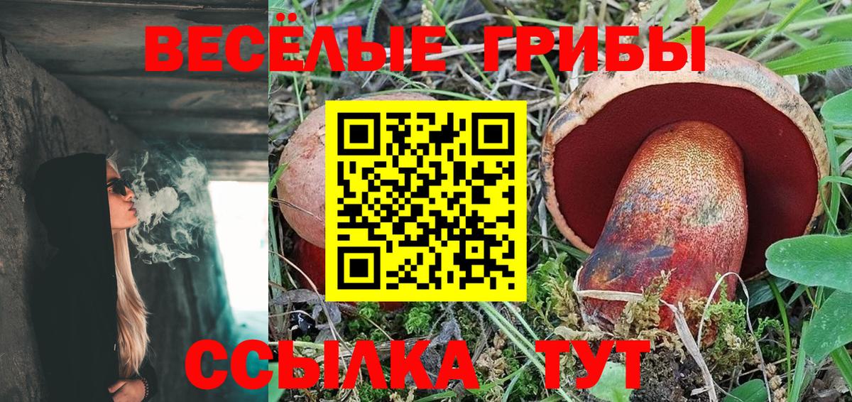 Анапа  Псилоцибиновые грибы Magic Shrooms  Вход с VPN  Псилоцибиновые грибы MAGIC MUSHROOMS 