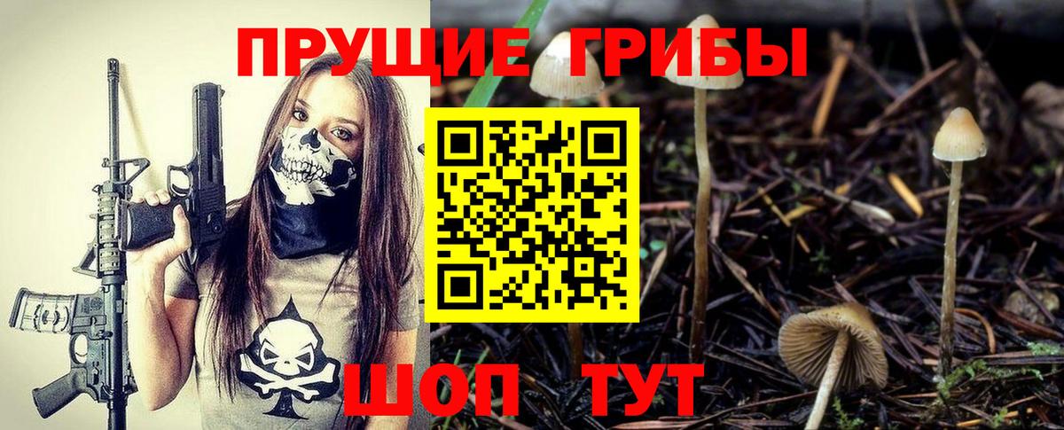 Галлюциногенные грибы Psilocybe Анапа