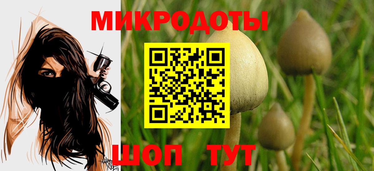 Псилоцибиновые грибы мухоморы  Галлюциногенные грибы Cubensis  где купить   Анапа  Вход с VPN 