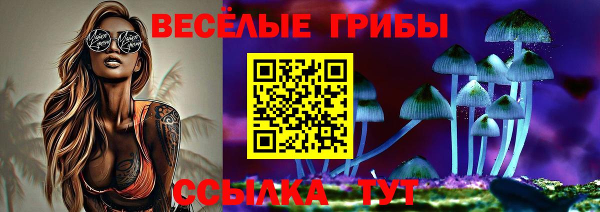 Псилоцибиновые грибы мицелий  Анапа 